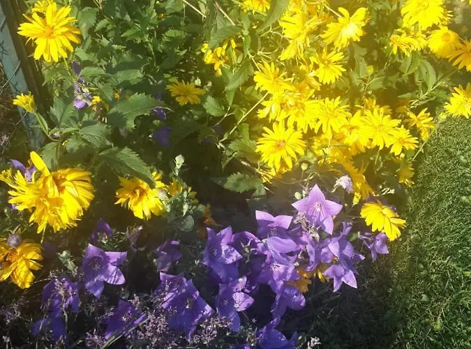 Tiny Am Bach Pettenbach