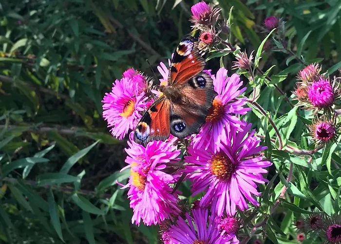 Tiny Am Bach Ferienhaus *